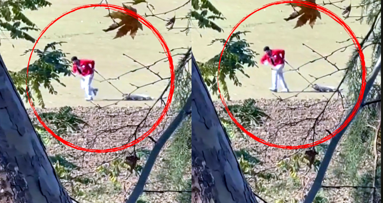 Belediye personelinin caniliği: Sokak köpeğini iple sürükledi